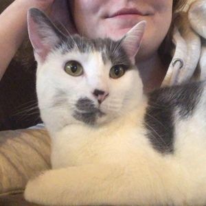 Meet your Posher, Posh